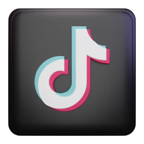 TikTok Pixel